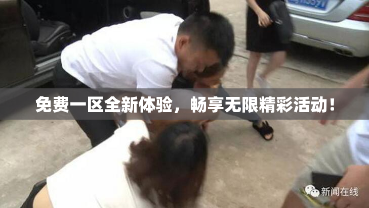 免费一区全新体验，畅享无限精彩活动！