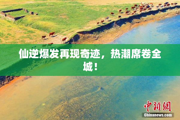 仙逆爆发再现奇迹，热潮席卷全城！