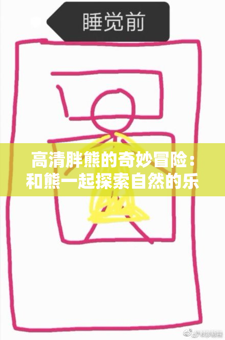 高清胖熊的奇妙冒险：和熊一起探索自然的乐趣