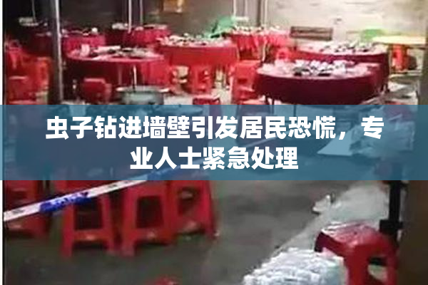 虫子钻进墙壁引发居民恐慌，专业人士紧急处理
