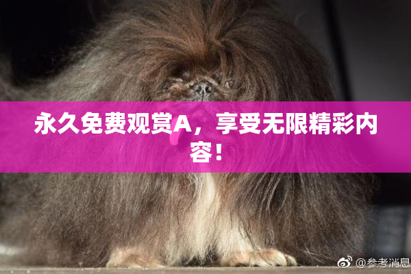 永久免费观赏A，享受无限精彩内容！
