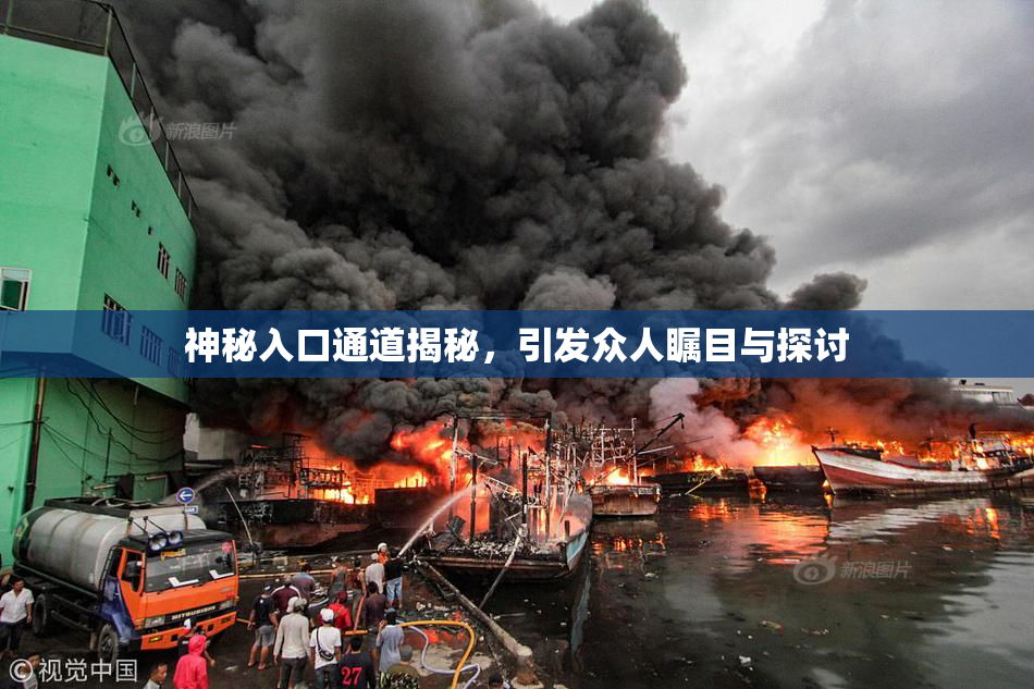 神秘入口通道揭秘，引发众人瞩目与探讨