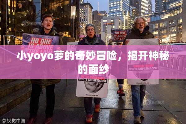 小yoyo萝的奇妙冒险，揭开神秘的面纱