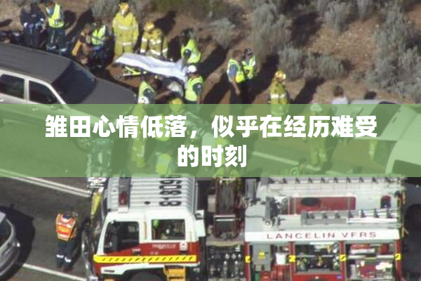 雏田心情低落，似乎在经历难受的时刻