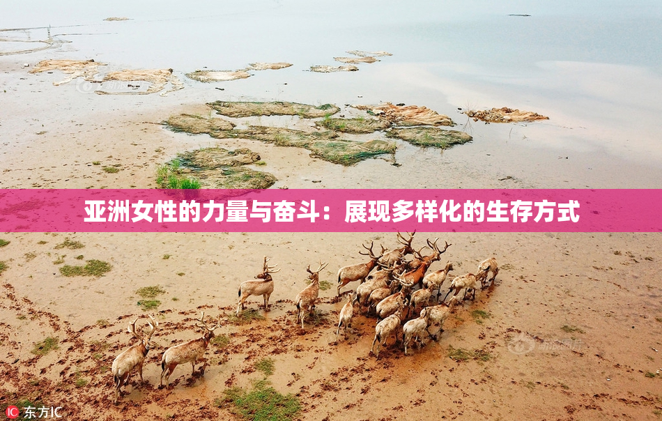 亚洲女性的力量与奋斗：展现多样化的生存方式