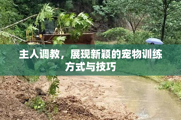 主人调教，展现新颖的宠物训练方式与技巧