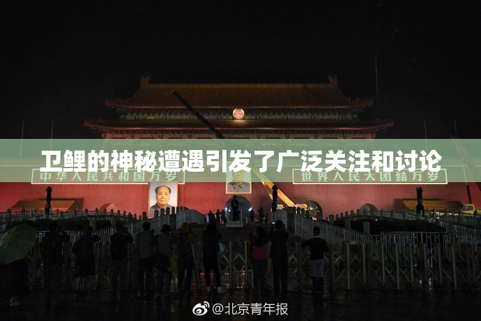 卫鲤的神秘遭遇引发了广泛关注和讨论