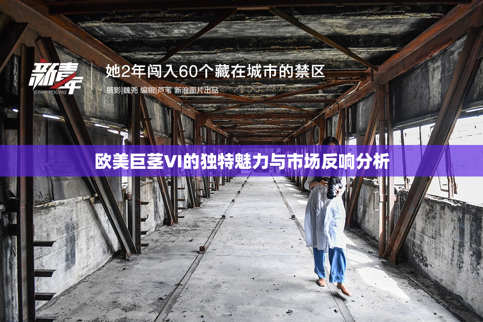 欧美巨茎VI的独特魅力与市场反响分析