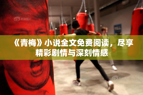 《青梅》小说全文免费阅读，尽享精彩剧情与深刻情感