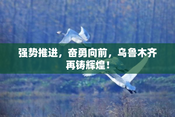 强势推进，奋勇向前，乌鲁木齐再铸辉煌！