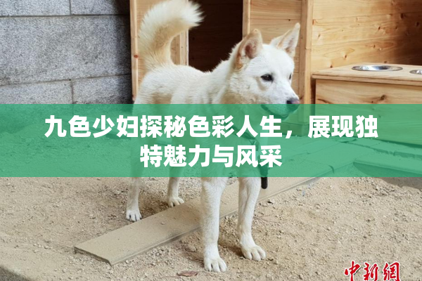 九色少妇探秘色彩人生，展现独特魅力与风采