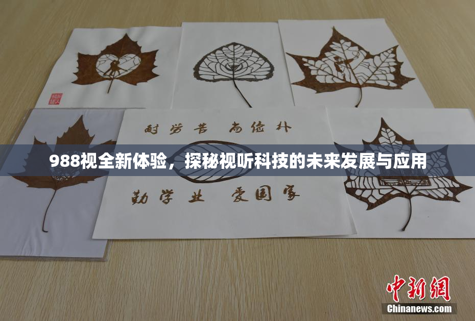 988视全新体验，探秘视听科技的未来发展与应用