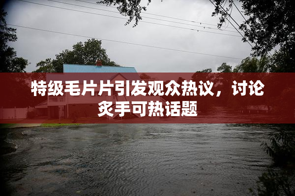特级毛片片引发观众热议，讨论炙手可热话题
