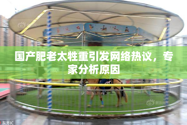 国产肥老太牲重引发网络热议，专家分析原因
