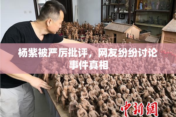 杨紫被严厉批评，网友纷纷讨论事件真相