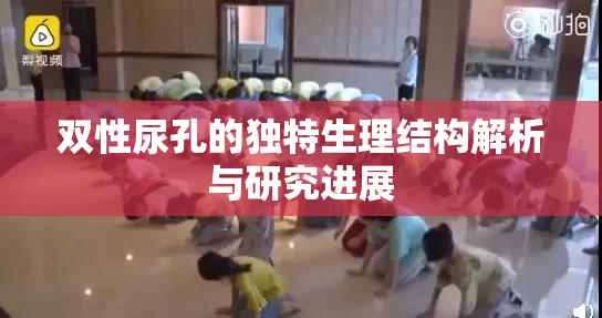 双性尿孔的独特生理结构解析与研究进展