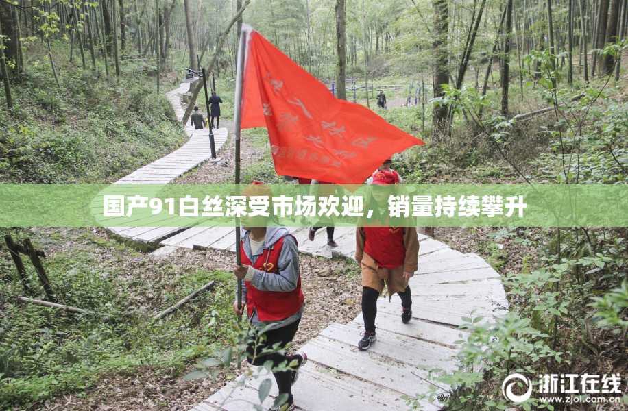 国产91白丝深受市场欢迎，销量持续攀升