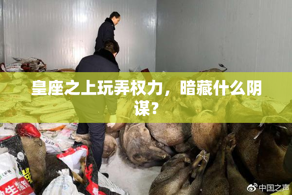 皇座之上玩弄权力，暗藏什么阴谋？