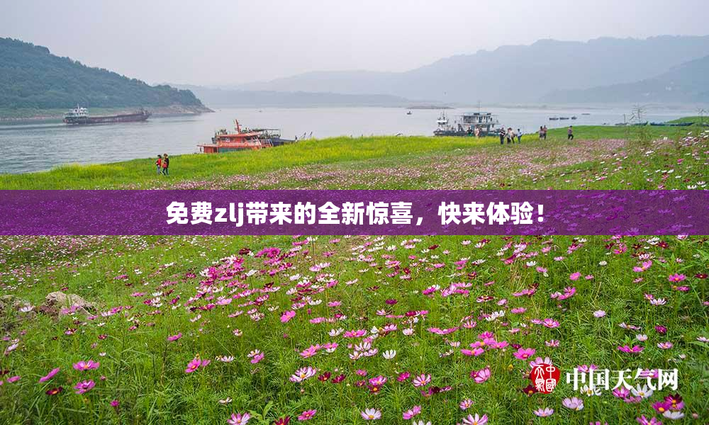 免费zlj带来的全新惊喜，快来体验！