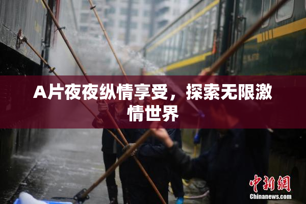 A片夜夜纵情享受，探索无限激情世界