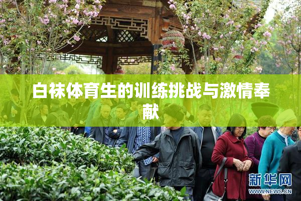 白袜体育生的训练挑战与激情奉献