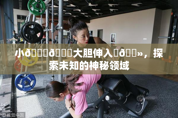 小🐔🐔大胆伸入‌🐻，探索未知的神秘领域