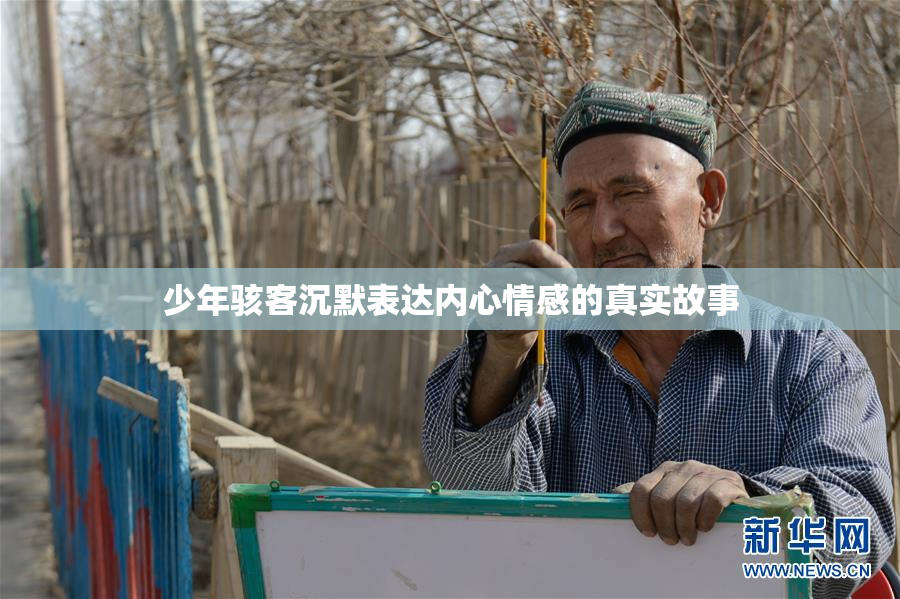 少年骇客沉默表达内心情感的真实故事