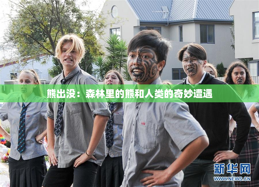 熊出没：森林里的熊和人类的奇妙遭遇
