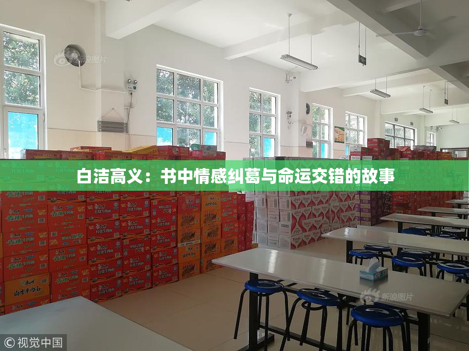 白洁高义：书中情感纠葛与命运交错的故事