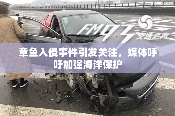 章鱼入侵事件引发关注，媒体呼吁加强海洋保护