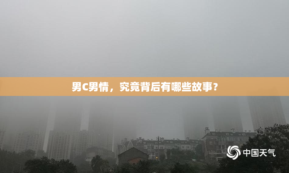 男C男情，究竟背后有哪些故事？