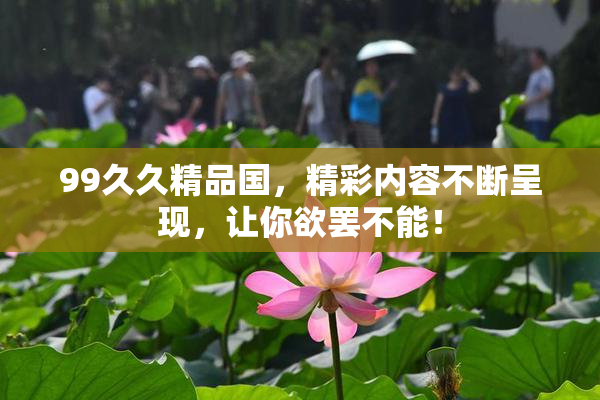 99久久精品国，精彩内容不断呈现，让你欲罢不能！