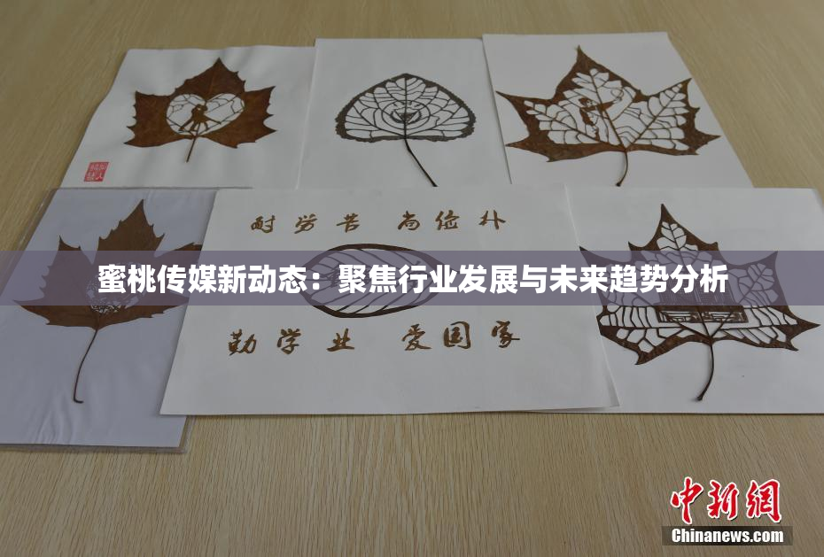 蜜桃传媒新动态：聚焦行业发展与未来趋势分析