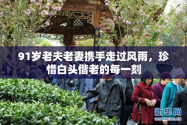 91岁老夫老妻携手走过风雨，珍惜白头偕老的每一刻