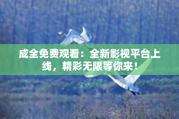 成全免费观看：全新影视平台上线，精彩无限等你来！