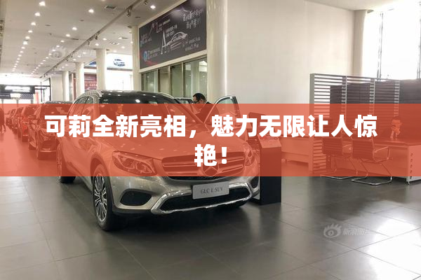 可莉全新亮相，魅力无限让人惊艳！