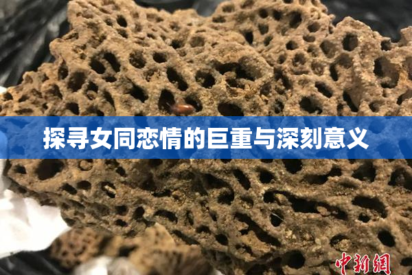 探寻女同恋情的巨重与深刻意义