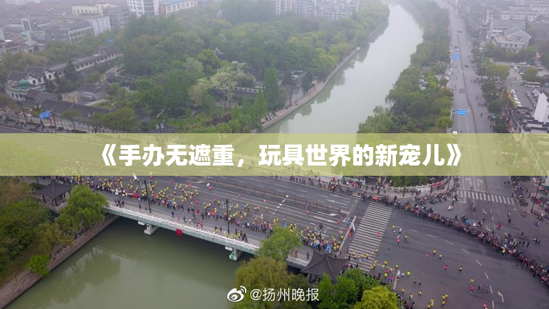 《手办无遮重，玩具世界的新宠儿》