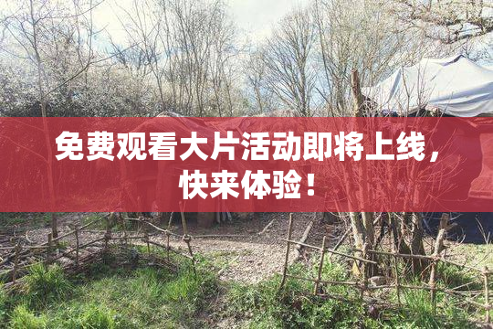 免费观看大片活动即将上线，快来体验！