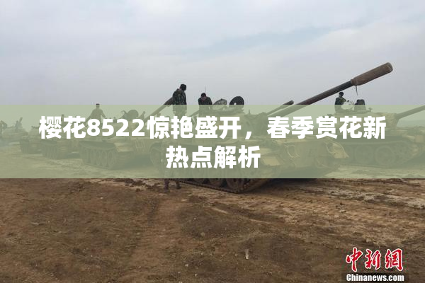 樱花8522惊艳盛开，春季赏花新热点解析