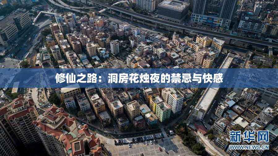 修仙之路：洞房花烛夜的禁忌与快感