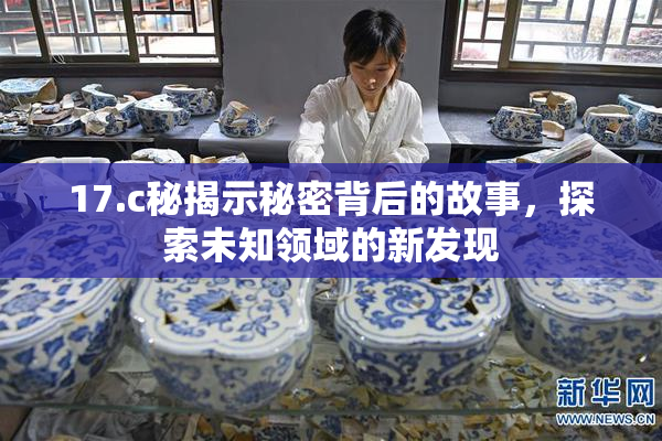 17.c秘揭示秘密背后的故事，探索未知领域的新发现