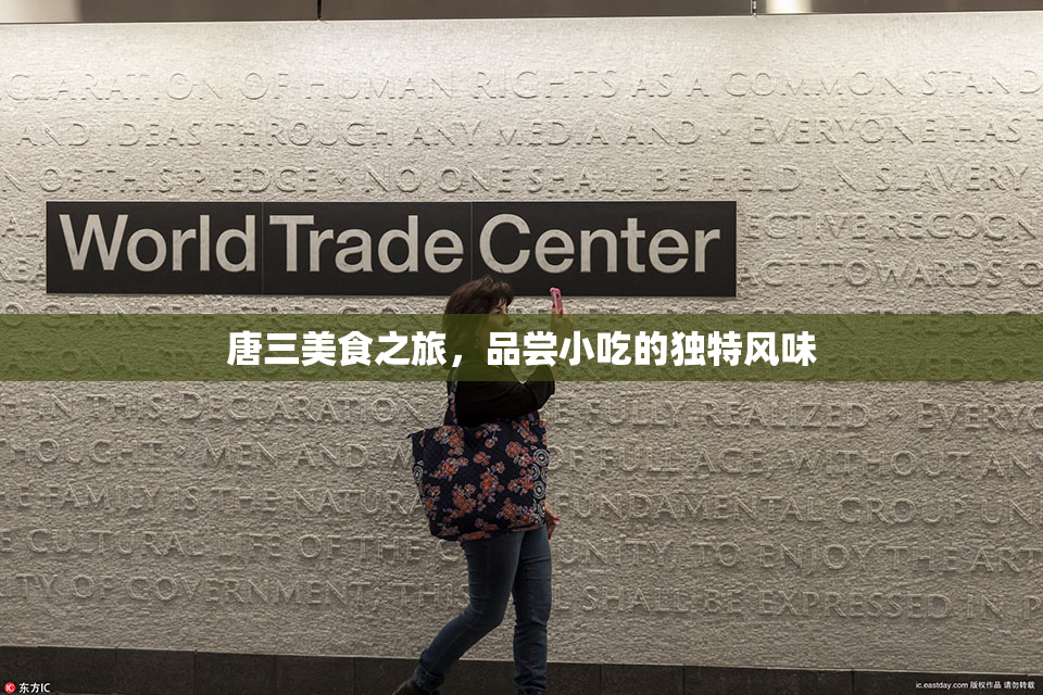 唐三美食之旅，品尝小吃的独特风味