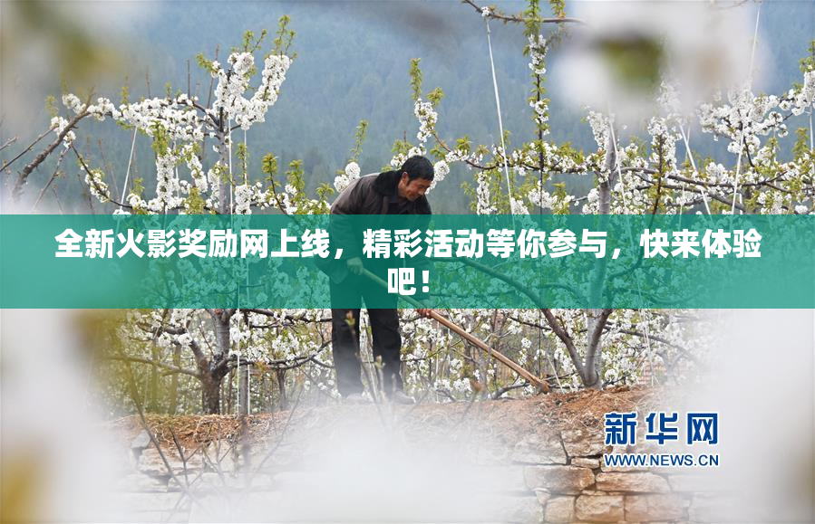 全新火影奖励网上线，精彩活动等你参与，快来体验吧！