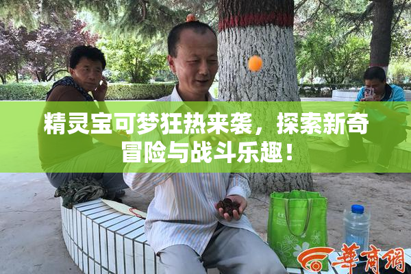 精灵宝可梦狂热来袭，探索新奇冒险与战斗乐趣！