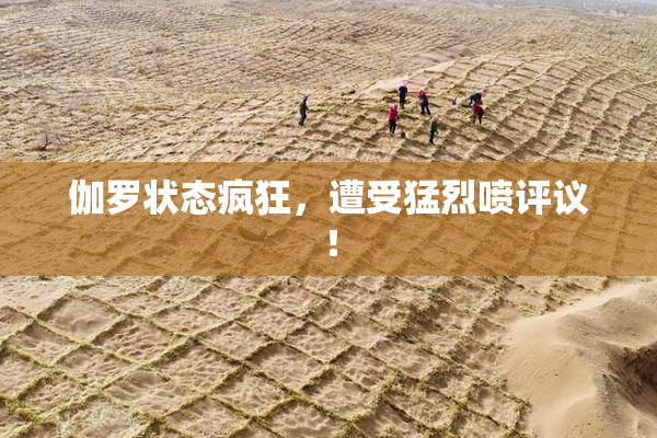伽罗状态疯狂，遭受猛烈喷评议！