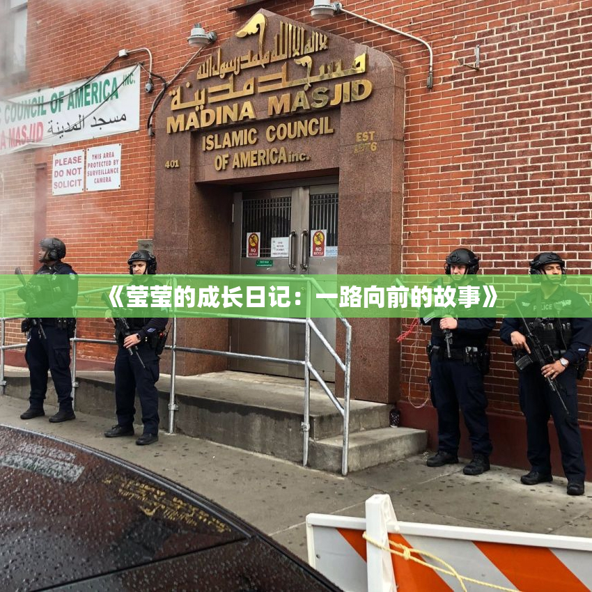 《莹莹的成长日记：一路向前的故事》