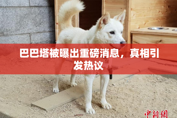巴巴塔被曝出重磅消息，真相引发热议