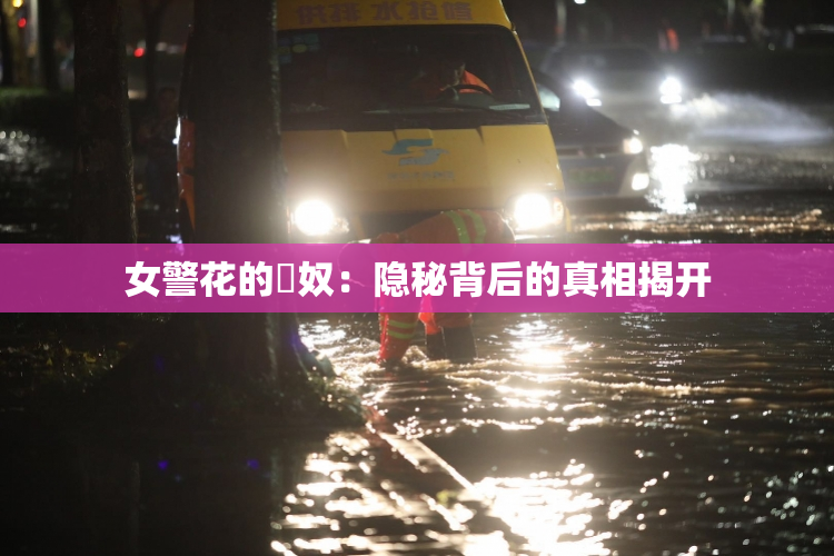 女警花的婬奴：隐秘背后的真相揭开