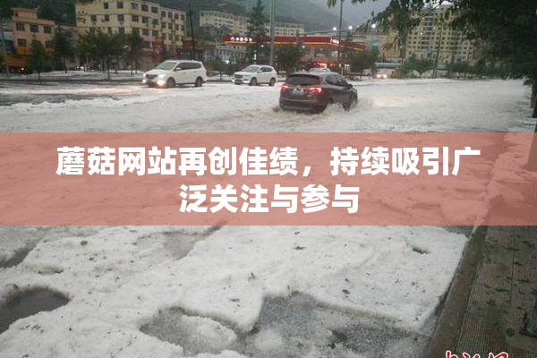 蘑菇网站再创佳绩，持续吸引广泛关注与参与